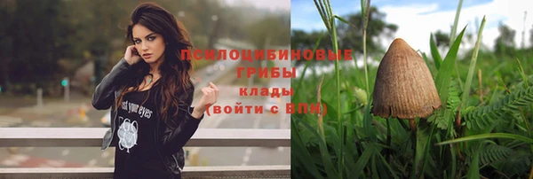 ешки Майский