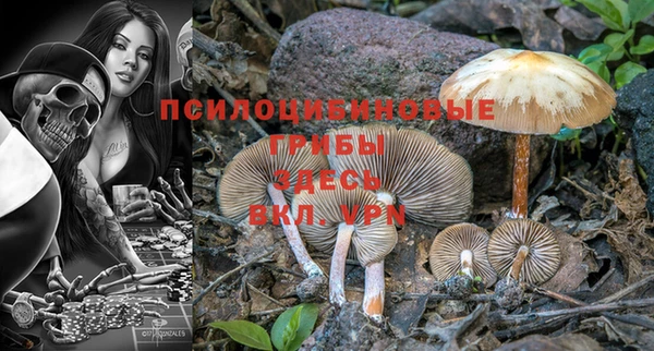 бошки Магадан
