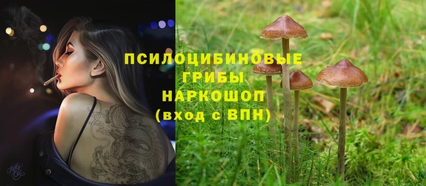 бошки Магадан