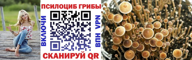 Псилоцибиновые грибы прущие грибы Южно-Сухокумск
